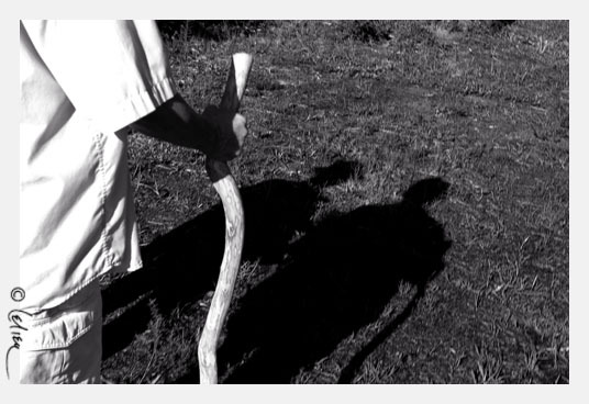 Bóng và hình (Ảnh: Lệ Liễu, 2007)